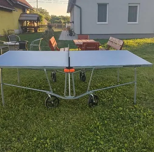 Sueni Ordacsehi