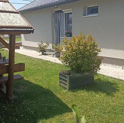 Sueni Ordacsehi