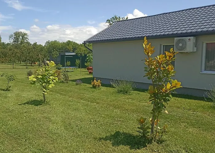 Sueni * Ordacsehi